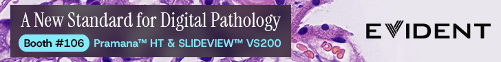 PV26_Evident Banner