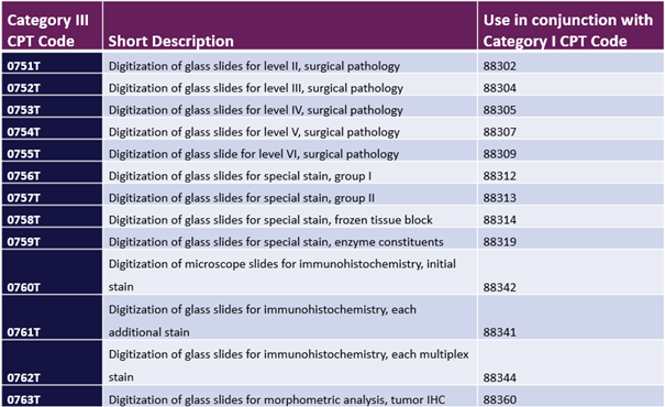 procedure code 88305